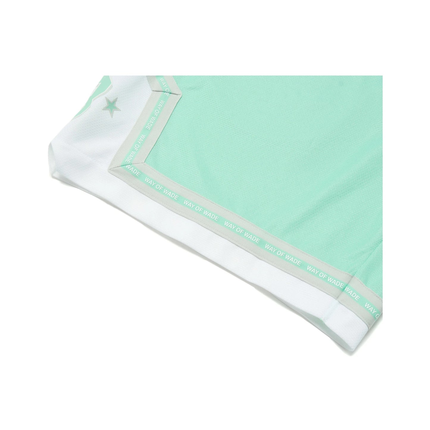 Wade Basketball Shorts AAPT529-2