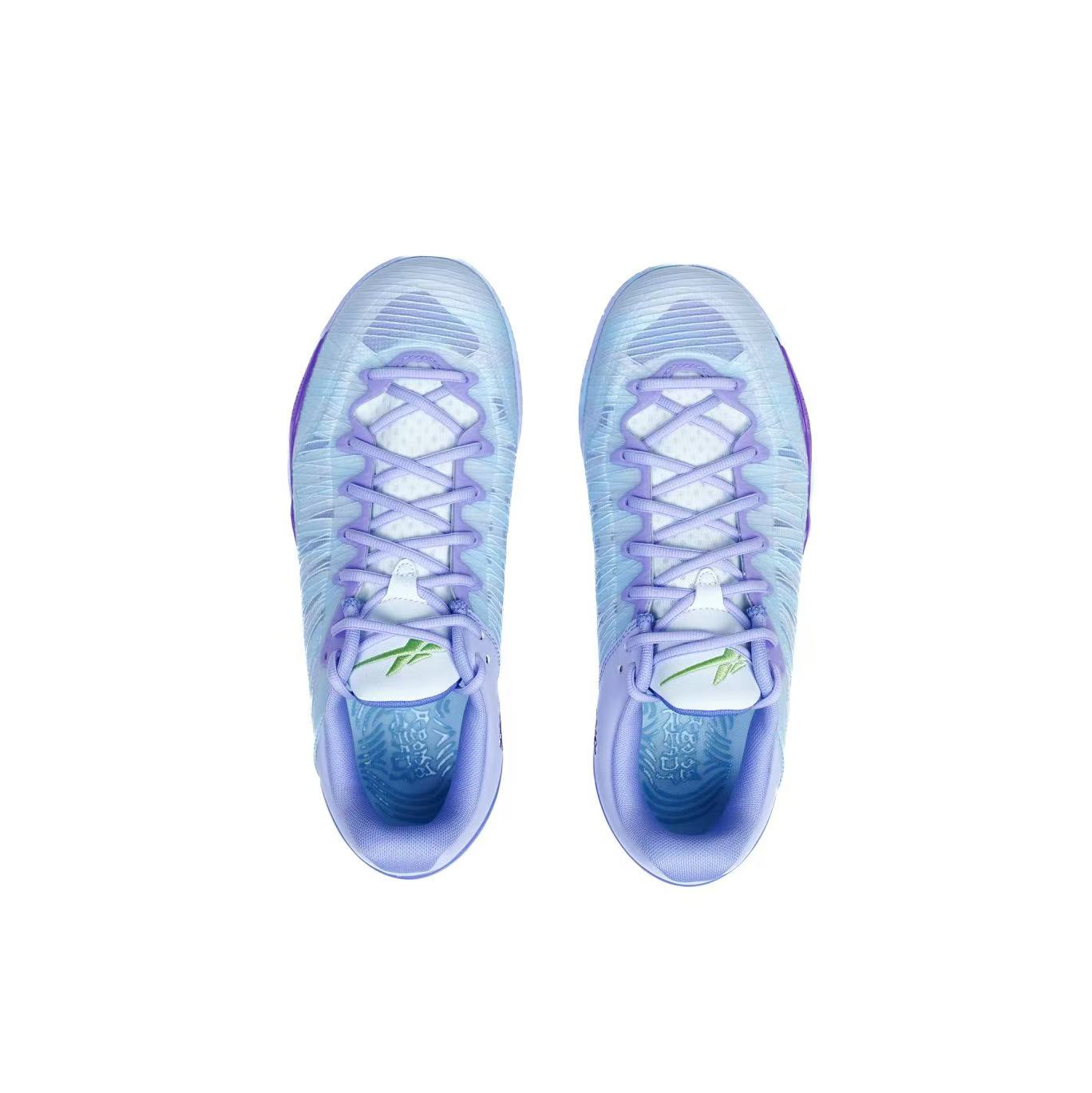 SPO Player 1 Plus - Anemone