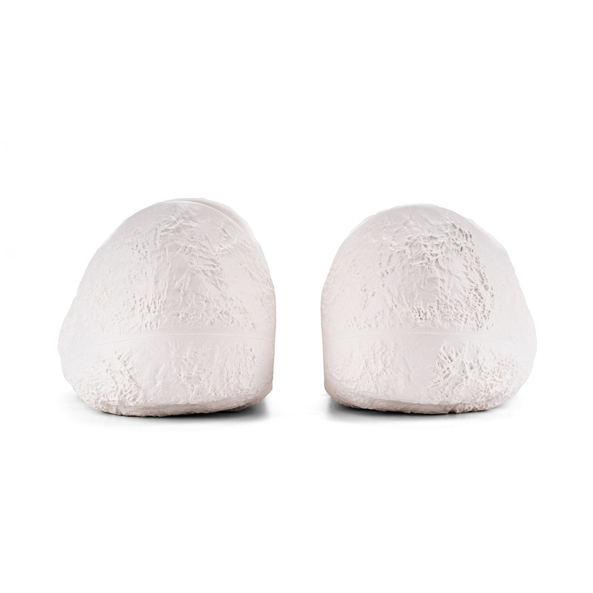 Wade Slide Lunar Rock
