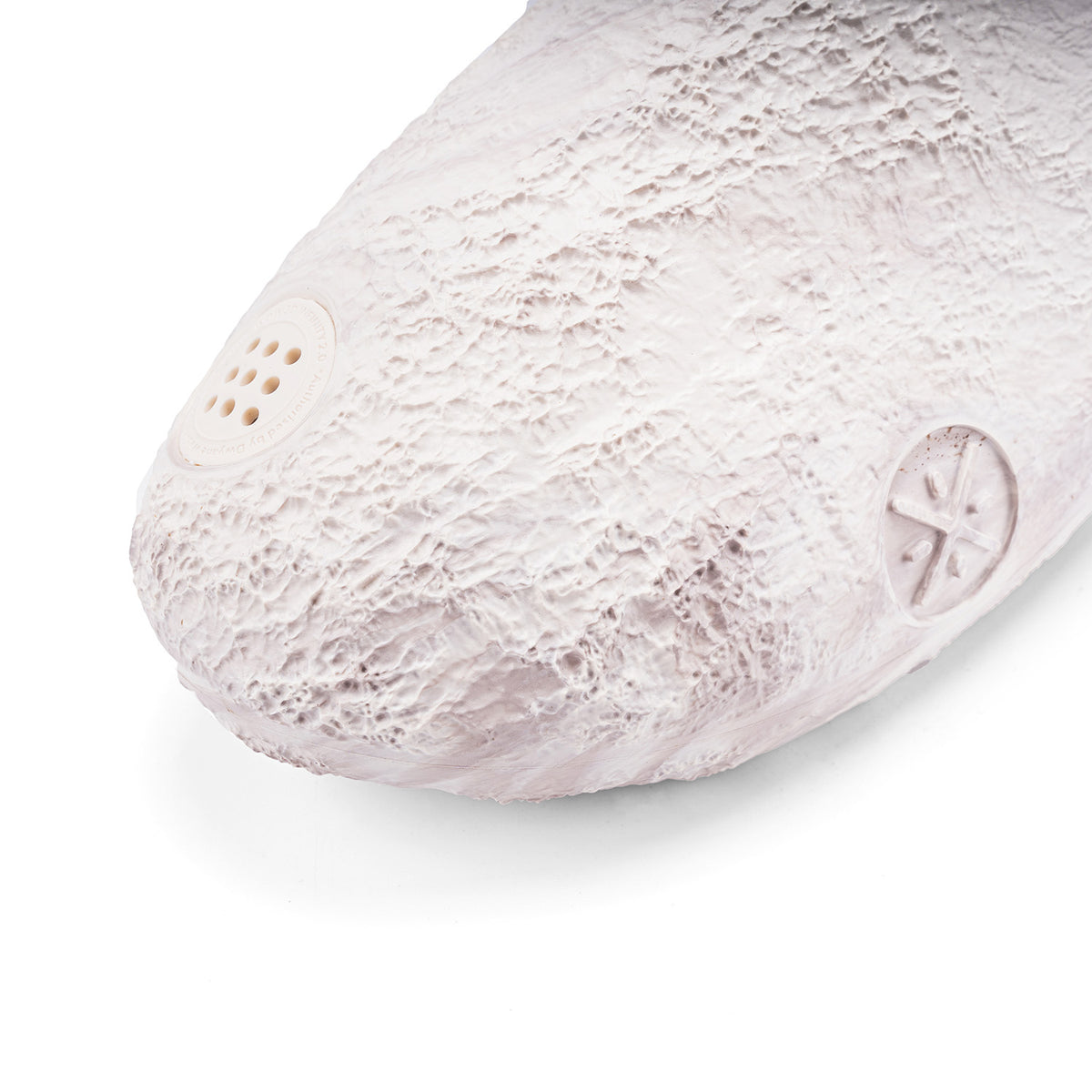 Wade Slide Lunar Rock