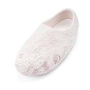 Wade Slide Lunar Rock