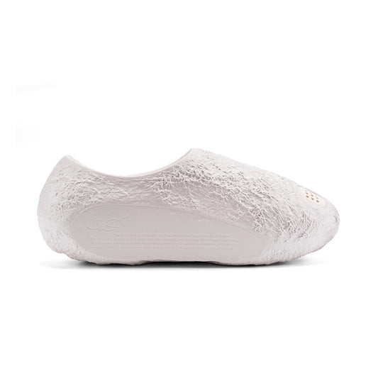 Wade Slide Lunar Rock