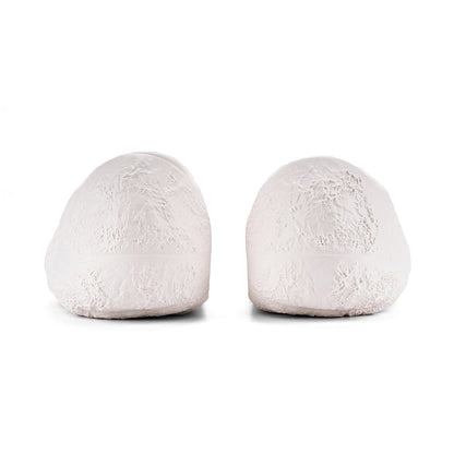 Wade Slide Lunar Rock
