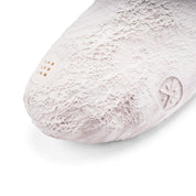 Wade Slide Lunar Rock